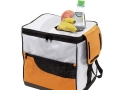 Cooler bag  0802058